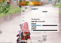 和平精英内核【蔷薇】辅助透视自瞄