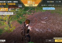 和平精英直装【拉菲】辅助透视自瞄
