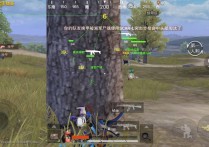 iOS和平精英【ZFR-GPU】辅助巨魔绘制