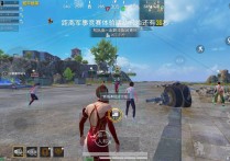 和平精英内核【金牛】辅助透视自瞄