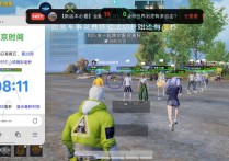 和平精英内核【787】辅助透视自瞄