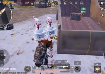 PUBG国际服直装【Z】辅助透视自瞄