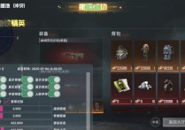 和平精英直装【哈基米】辅助透视自瞄