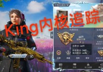 和平精英内部内核【King】辅助透视自瞄/漏打追踪