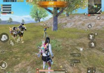 安卓和平精英内核【Aipro】辅助透视自瞄