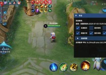 王者荣耀直装【冬瓜】辅助透视自瞄