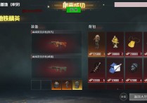 和平精英直装【小猪熊】辅助透视自瞄