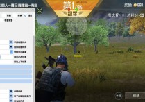 和平精英内核【XO】辅助透视自瞄