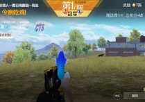 和平精英内核【CT5】辅助透视自瞄/全功能